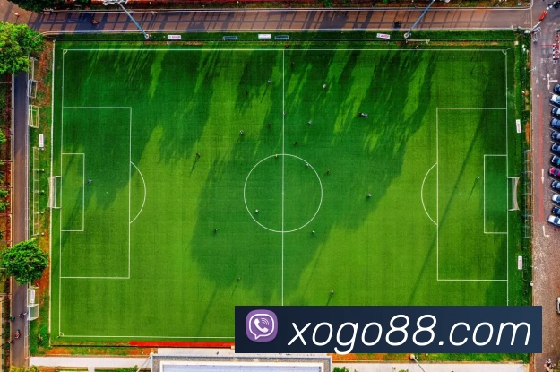 星欧娱乐官网APP 体育赛事宣传图